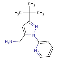 1254716-98-7 (5-tert-butyl-2-pyridin-2-ylpyrazol-3-yl)methanamine chemical structure