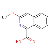 374917-64-3 3-methoxyisoquinoline-1-carboxylic acid chemical structure