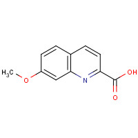 852402-71-2 7-methoxyquinoline-2-carboxylic acid chemical structure