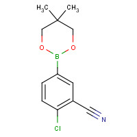 1310950-02-7 2-chloro-5-(5,5-dimethyl-1,3,2-dioxaborinan-2-yl)benzonitrile chemical structure