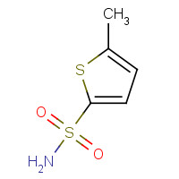53595-69-0 5-methylthiophene-2-sulfonamide chemical structure
