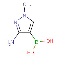 1022156-12-2 (3-amino-1-methylpyrazol-4-yl)boronic acid chemical structure