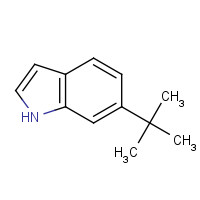 887581-54-6 6-tert-butyl-1H-indole chemical structure