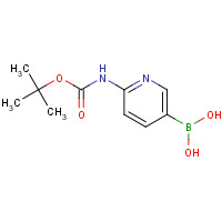 883231-20-7 [6-[(2-methylpropan-2-yl)oxycarbonylamino]pyridin-3-yl]boronic acid chemical structure