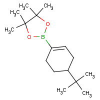 287944-06-3 2-(4-tert-butylcyclohexen-1-yl)-4,4,5,5-tetramethyl-1,3,2-dioxaborolane chemical structure