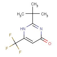 193610-95-6 2-tert-butyl-6-(trifluoromethyl)-1H-pyrimidin-4-one chemical structure