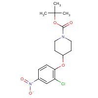 319452-19-2 tert-butyl 4-(2-chloro-4-nitrophenoxy)piperidine-1-carboxylate chemical structure