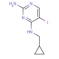 1169699-06-2 4-N-(cyclopropylmethyl)-5-iodopyrimidine-2,4-diamine chemical structure