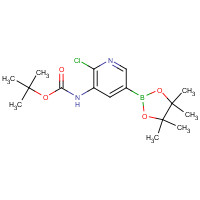 1246184-56-4 tert-butyl N-[2-chloro-5-(4,4,5,5-tetramethyl-1,3,2-dioxaborolan-2-yl)pyridin-3-yl]carbamate chemical structure