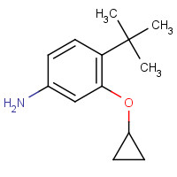 1243321-66-5 4-tert-butyl-3-cyclopropyloxyaniline chemical structure