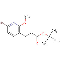 1310949-64-4 tert-butyl 3-(6-bromo-2-methoxypyridin-3-yl)propanoate chemical structure