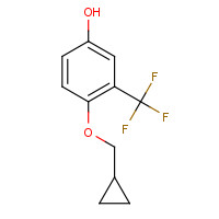 1243463-05-9 4-(cyclopropylmethoxy)-3-(trifluoromethyl)phenol chemical structure