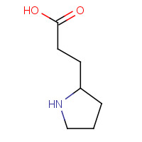 18325-18-3 3-pyrrolidin-2-ylpropanoic acid chemical structure