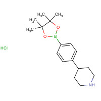 1415794-16-9 4-[4-(4,4,5,5-tetramethyl-1,3,2-dioxaborolan-2-yl)phenyl]piperidine;hydrochloride chemical structure