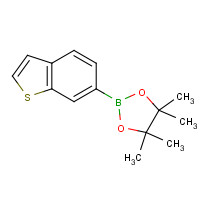 937182-06-4 2-(1-benzothiophen-6-yl)-4,4,5,5-tetramethyl-1,3,2-dioxaborolane chemical structure