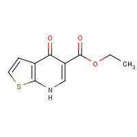 55503-31-6 ethyl 4-oxo-7H-thieno[2,3-b]pyridine-5-carboxylate chemical structure