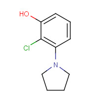 925233-08-5 2-chloro-3-pyrrolidin-1-ylphenol chemical structure