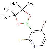 1150561-79-7 4-bromo-2-fluoro-3-(4,4,5,5-tetramethyl-1,3,2-dioxaborolan-2-yl)pyridine chemical structure