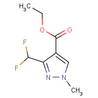 141573-95-7 ethyl 3-(difluoromethyl)-1-methylpyrazole-4-carboxylate chemical structure