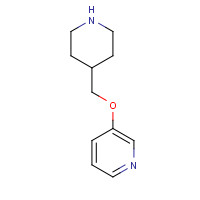 933758-81-7 3-(piperidin-4-ylmethoxy)pyridine chemical structure