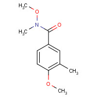 916171-26-1 N,4-dimethoxy-N,3-dimethylbenzamide chemical structure