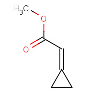110793-87-8 methyl 2-cyclopropylideneacetate chemical structure