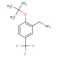 693248-13-4 [2-[(2-methylpropan-2-yl)oxy]-5-(trifluoromethyl)phenyl]methanamine chemical structure