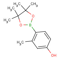 946427-03-8 3-methyl-4-(4,4,5,5-tetramethyl-1,3,2-dioxaborolan-2-yl)phenol chemical structure