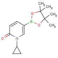 1596367-55-3 1-cyclopropyl-5-(4,4,5,5-tetramethyl-1,3,2-dioxaborolan-2-yl)pyridin-2-one chemical structure