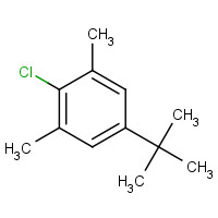 15177-08-9 5-tert-butyl-2-chloro-1,3-dimethylbenzene chemical structure