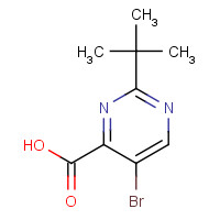 59950-52-6 5-bromo-2-tert-butylpyrimidine-4-carboxylic acid chemical structure