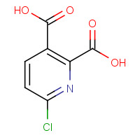 127437-44-9 6-chloropyridine-2,3-dicarboxylic acid chemical structure