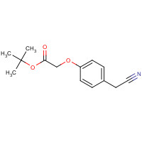 124499-21-4 tert-butyl 2-[4-(cyanomethyl)phenoxy]acetate chemical structure