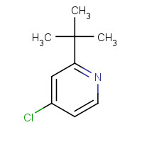 1163706-64-6 2-tert-butyl-4-chloropyridine chemical structure