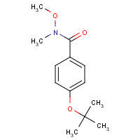 916791-35-0 N-methoxy-N-methyl-4-[(2-methylpropan-2-yl)oxy]benzamide chemical structure