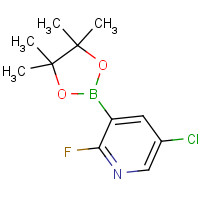 937595-72-7 5-chloro-2-fluoro-3-(4,4,5,5-tetramethyl-1,3,2-dioxaborolan-2-yl)pyridine chemical structure