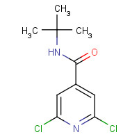 1152504-12-5 N-tert-butyl-2,6-dichloropyridine-4-carboxamide chemical structure