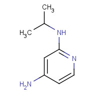 1250407-50-1 2-N-propan-2-ylpyridine-2,4-diamine chemical structure