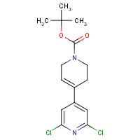 1239363-36-0 tert-butyl 4-(2,6-dichloropyridin-4-yl)-3,6-dihydro-2H-pyridine-1-carboxylate chemical structure