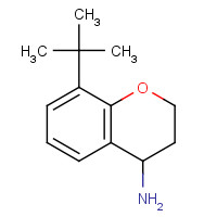 890839-83-5 8-tert-butyl-3,4-dihydro-2H-chromen-4-amine chemical structure