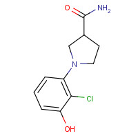 925233-25-6 1-(2-chloro-3-hydroxyphenyl)pyrrolidine-3-carboxamide chemical structure