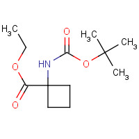 163554-54-9 ethyl 1-[(2-methylpropan-2-yl)oxycarbonylamino]cyclobutane-1-carboxylate chemical structure