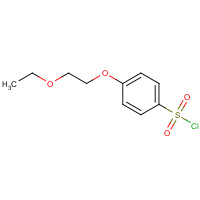264624-20-6 4-(2-ethoxyethoxy)benzenesulfonyl chloride chemical structure