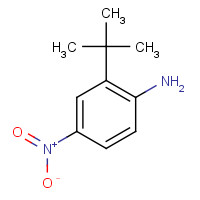 59255-98-0 2-tert-butyl-4-nitroaniline chemical structure