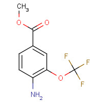 457097-93-7 methyl 4-amino-3-(trifluoromethoxy)benzoate chemical structure