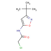 668980-81-2 N-(3-tert-butyl-1,2-oxazol-5-yl)-2-chloroacetamide chemical structure