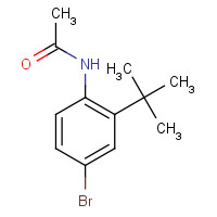 73621-42-8 N-(4-bromo-2-tert-butylphenyl)acetamide chemical structure
