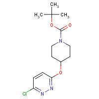 442199-16-8 tert-butyl 4-(6-chloropyridazin-3-yl)oxypiperidine-1-carboxylate chemical structure