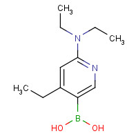 848360-82-7 [6-(diethylamino)-4-ethylpyridin-3-yl]boronic acid chemical structure