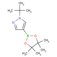 1256359-15-5 1-tert-butyl-4-(4,4,5,5-tetramethyl-1,3,2-dioxaborolan-2-yl)pyrazole chemical structure